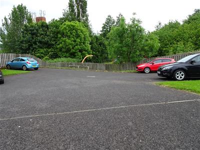 Picture 12